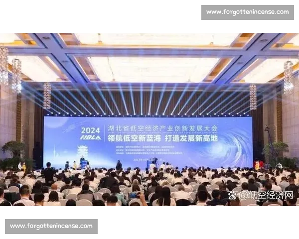 低空经济背景下体育产业应用创新与发展路径实践探索模式分析